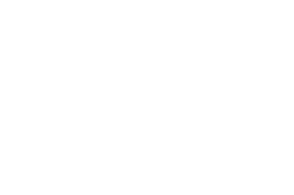 Web-Cab